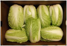 Baloian Farms Cabbage