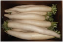 Baloian Farms