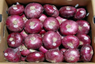 Baloian Farms